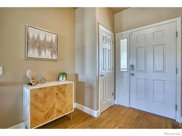 290 Clark CT, Windsor, CO 80550