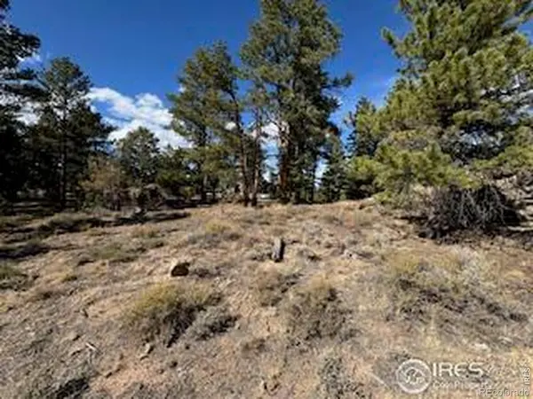 2921 Fox Acres DR, Red Feather Lakes, CO 80545
