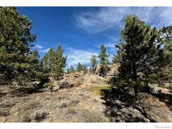 2921 Fox Acres DR, Red Feather Lakes, CO 80545