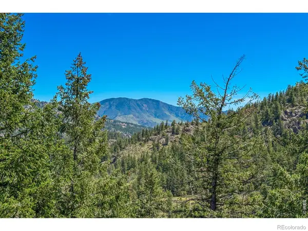 1108 Eagle DR, Lyons, CO 80540