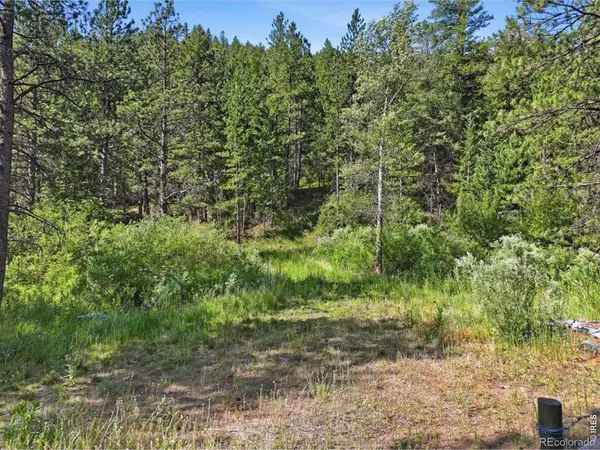 Spiritwood Ln, Bellvue, CO 80512