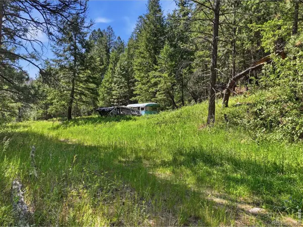 Spiritwood Ln, Bellvue, CO 80512