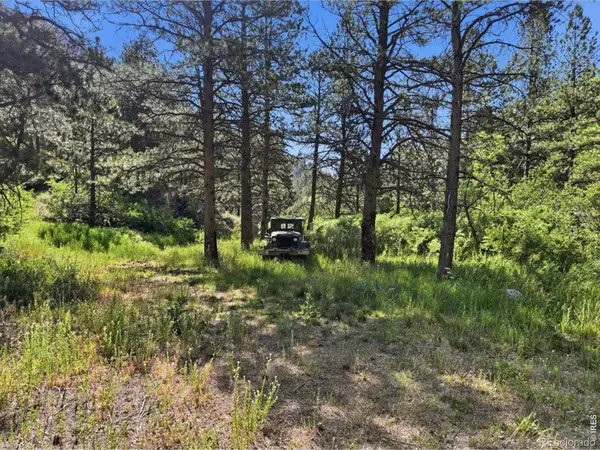 Spiritwood Ln, Bellvue, CO 80512