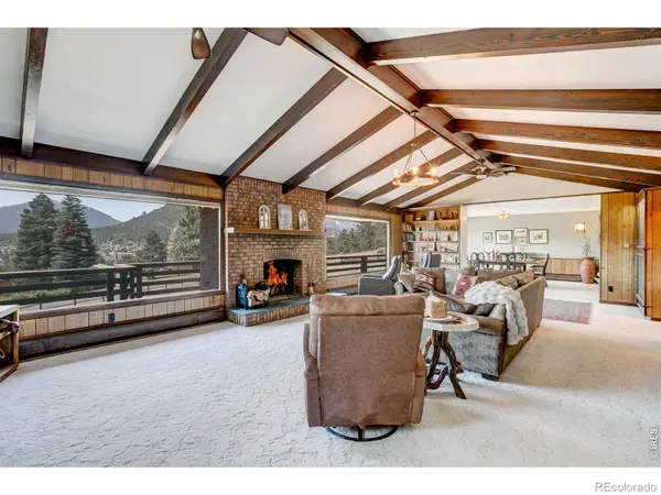1041 Otis LN, Estes Park, CO 80517