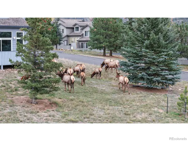 1555 Raven CIR, Estes Park, CO 80517