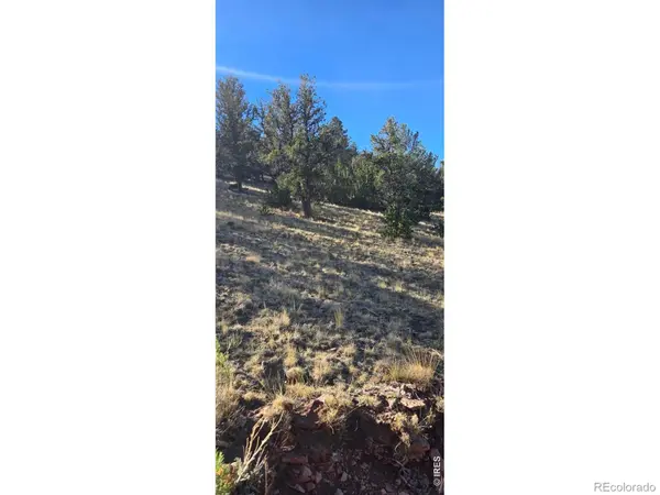 0 County Road 41g (Camero Road), Center, CO 81125