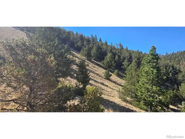 0 County Road 41g (Camero Road), Center, CO 81125