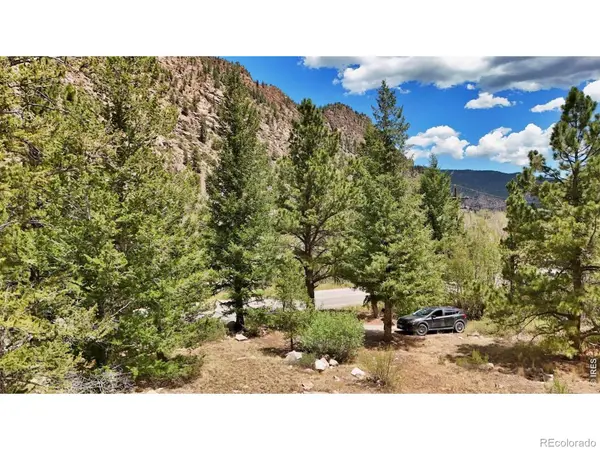 1944 Alvarado RD, Georgetown, CO 80444
