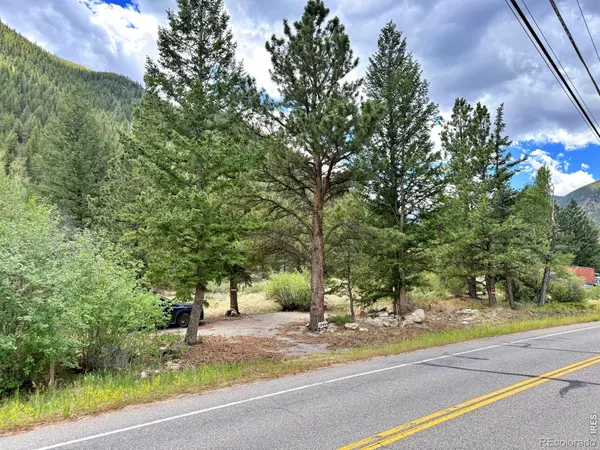 1944 Alvarado RD, Georgetown, CO 80444