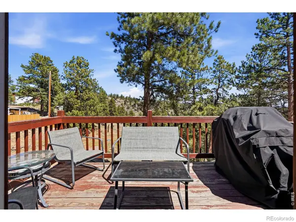 280 Bunny RD, Bailey, CO 80421