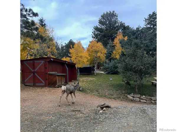 280 Bunny RD, Bailey, CO 80421