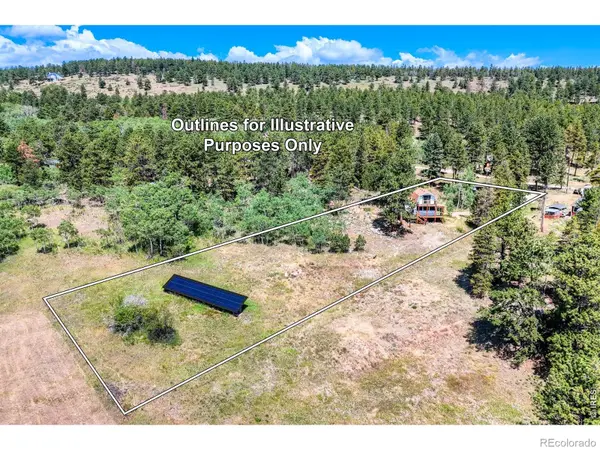 1820 Lazy Z RD #A, Nederland, CO 80466