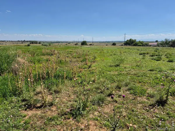 9140 County Road 54, Milliken, CO 80543