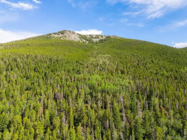 0 Twin Spruce RD, Golden, CO 80403