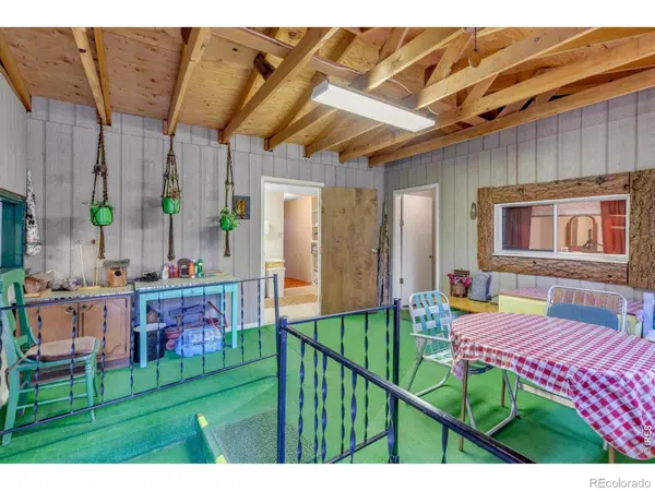 650 W Pine ST, Nederland, CO 80466