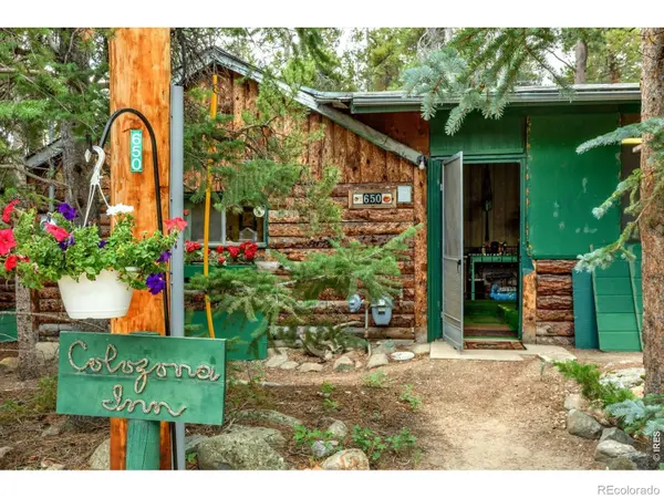 650 W Pine ST, Nederland, CO 80466