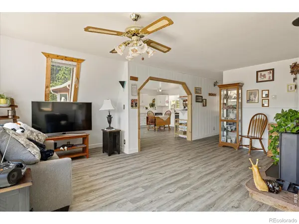 1650 Lazy Z RD, Nederland, CO 80466