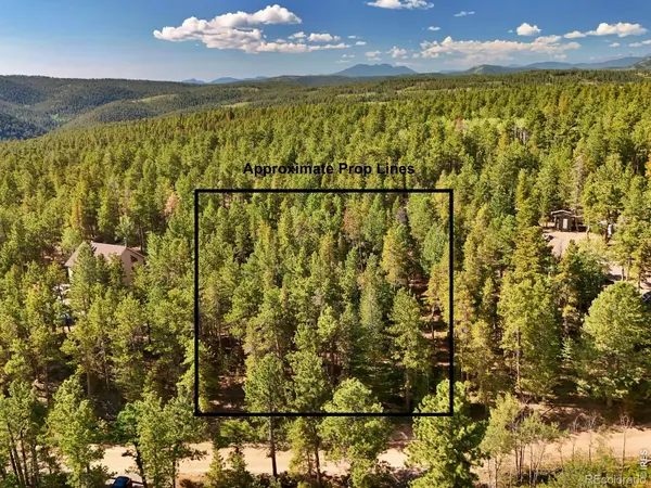 312 Ridge RD, Ward, CO 80481
