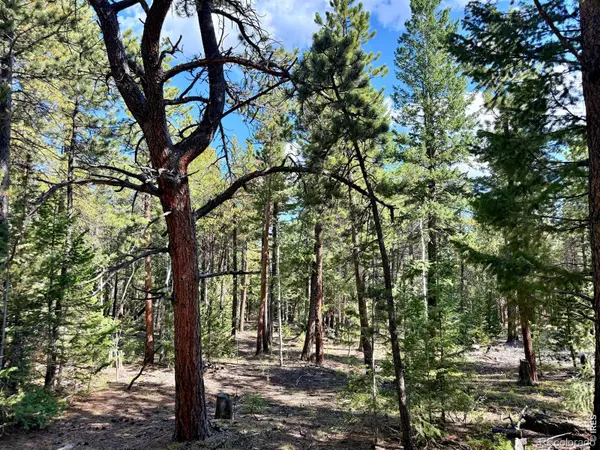312 Ridge RD, Ward, CO 80481
