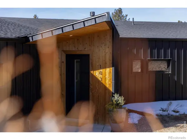 103 W Wildewood DR, Nederland, CO 80466