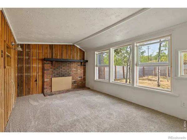 430 W 3rd ST, Nederland, CO 80466