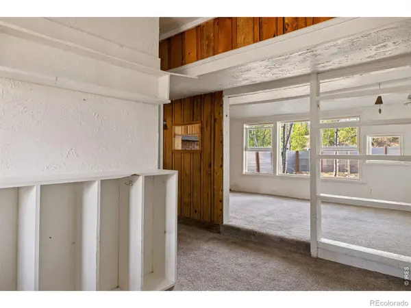 430 W 3rd ST, Nederland, CO 80466