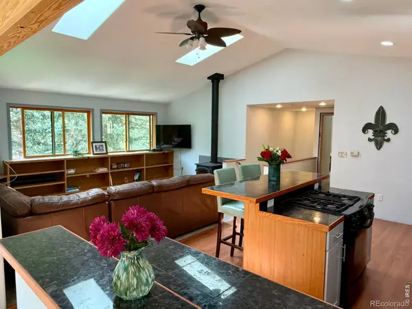 3727 Gamble Gulch RD, Black Hawk, CO 80422