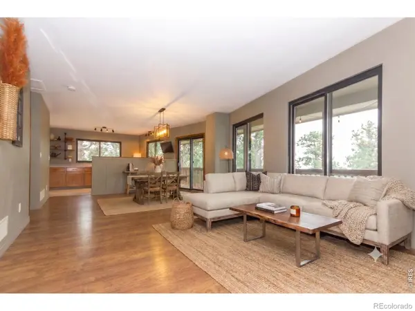 1001 Bald Mountain DR, Livermore, CO 80536