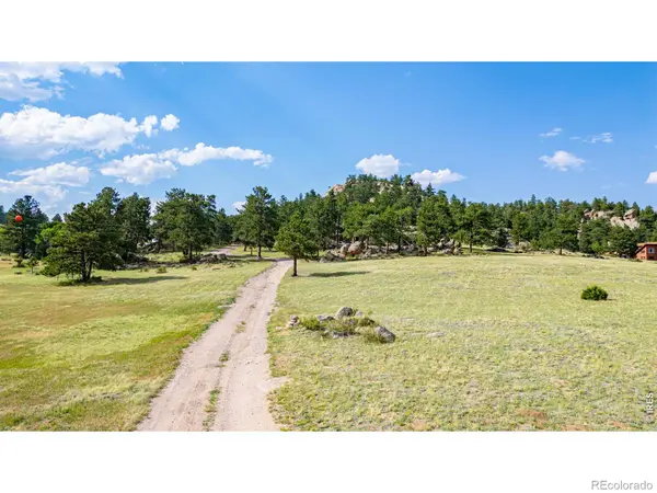 1001 Bald Mountain DR, Livermore, CO 80536