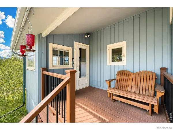 338 County Road 84, Allenspark, CO 80510