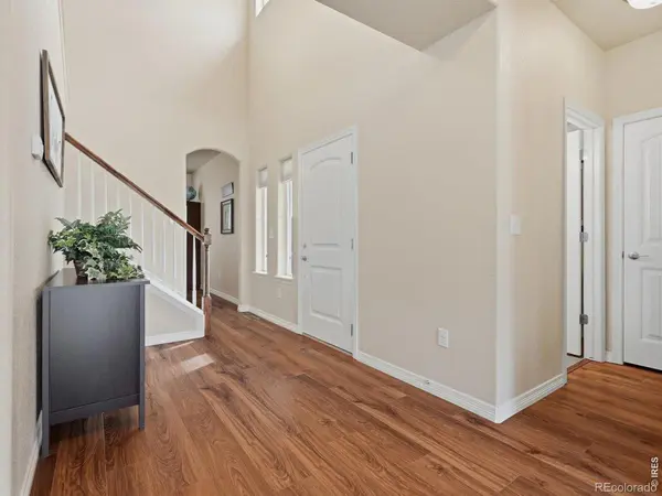 623 Goose Lake CT, Windsor, CO 80550