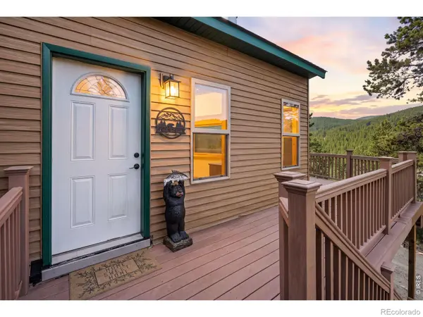 1301 Upper Moon Gulch RD, Rollinsville, CO 80474
