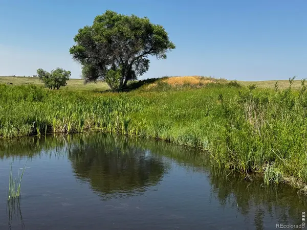 29643 County Road 17/21, Elizabeth, CO 80107