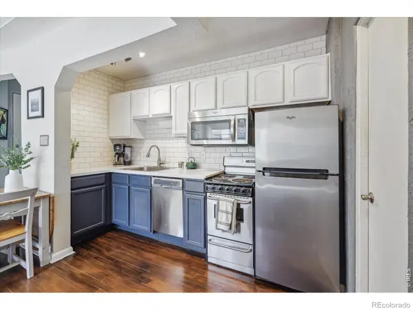 1130 N Pennsylvania ST #307, Denver, CO 80203