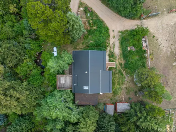 425 Caribou RD, Nederland, CO 80466