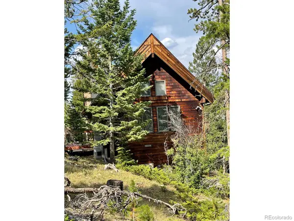 785 S Skinner RD, Allenspark, CO 80510