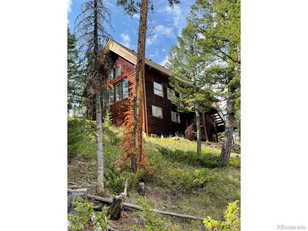 785 S Skinner RD, Allenspark, CO 80510