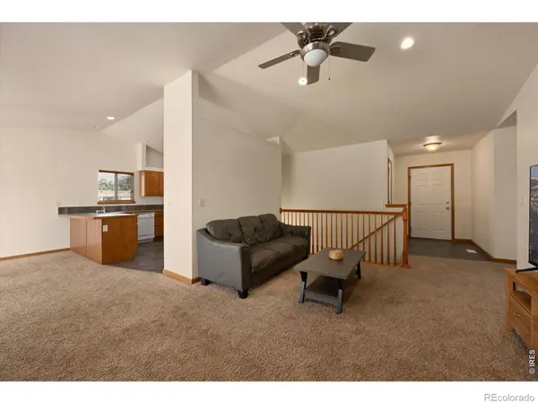 343 Scotch Pine CT, Severance, CO 80550
