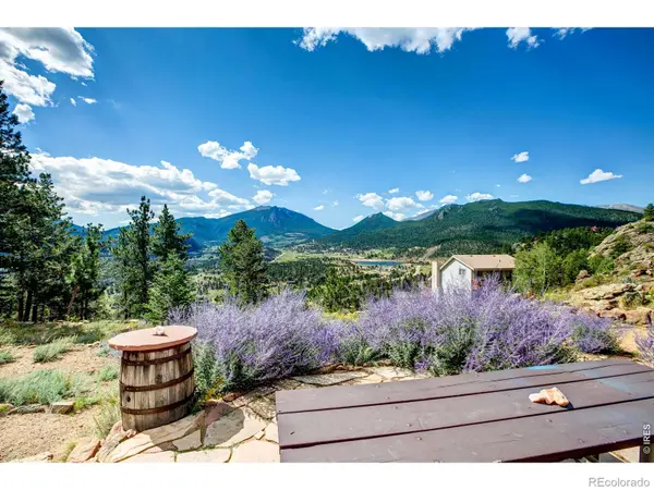 1460 Prospect Mountain DR, Estes Park, CO 80517