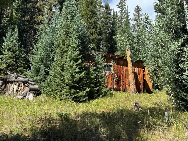 67 Alpine LN, Walden, CO 80430