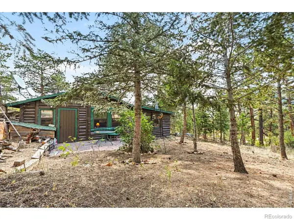 360 Ski RD, Allenspark, CO 80510