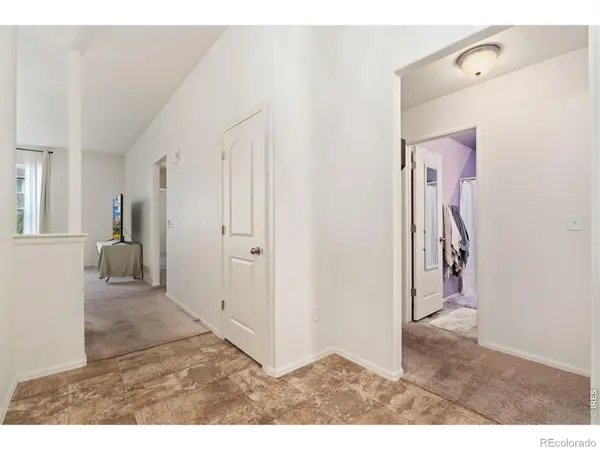 763 Dakota WAY, Windsor, CO 80550