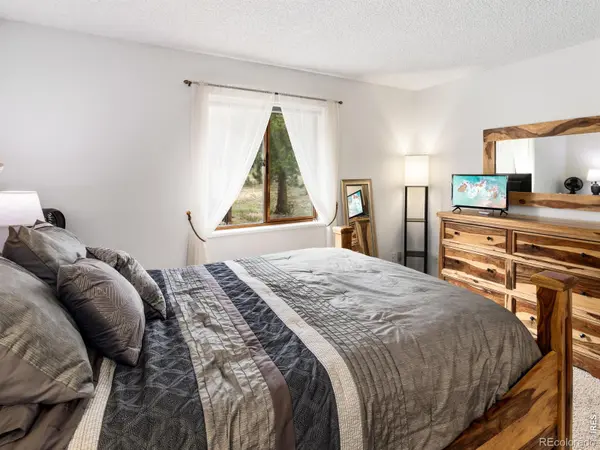 1155 S Saint Vrain AVE #8, Estes Park, CO 80517
