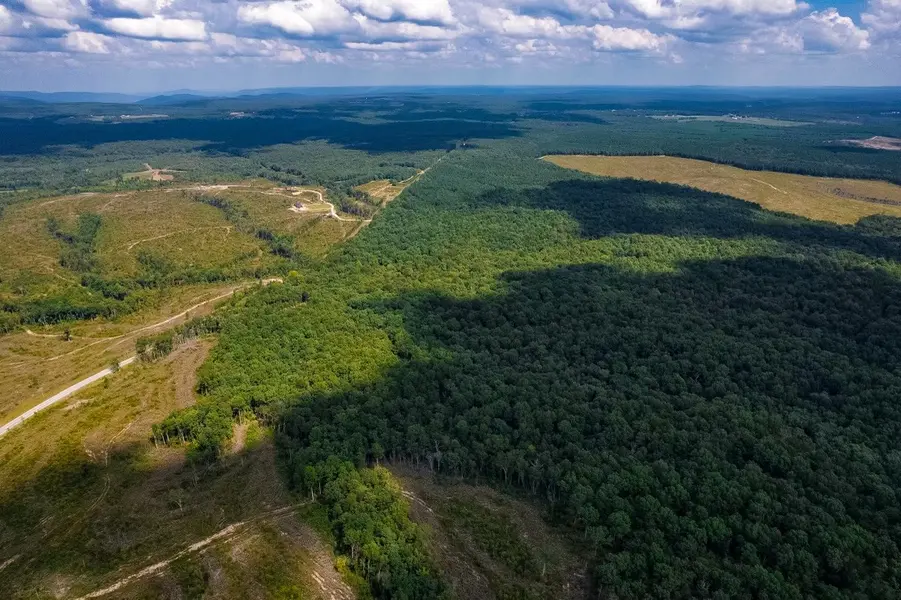16226 SR 50, Altamont, TN 37301