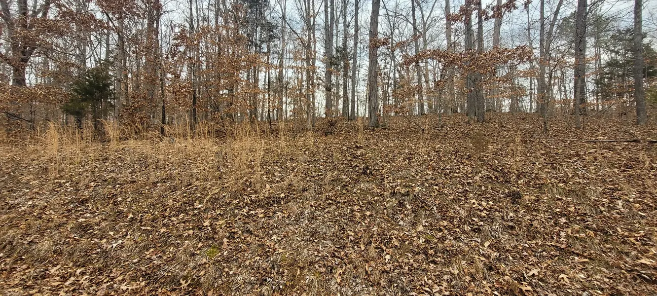 1 Lakeshore Cir, Bumpus Mills, TN 37028