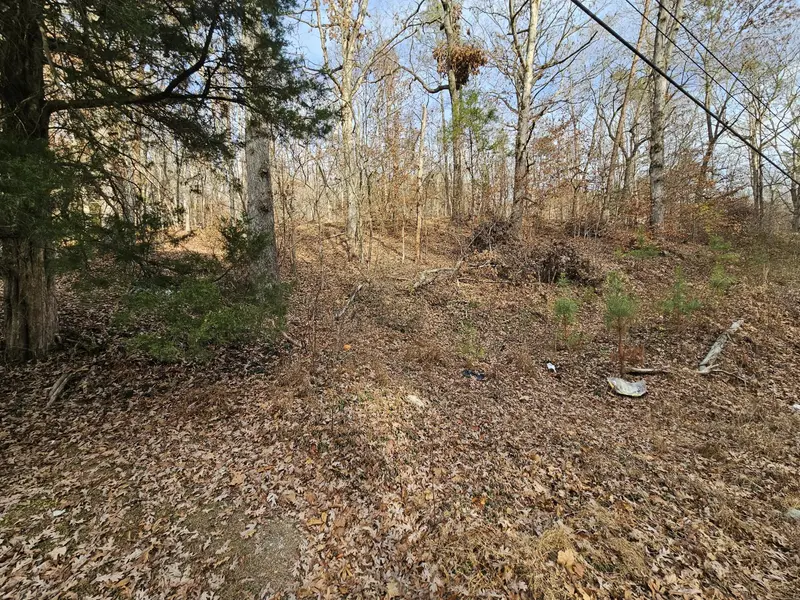 7 Smyrna Road, Evensville, TN 37332