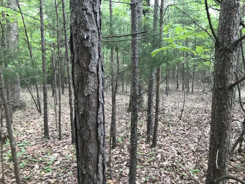 0 Bluffview Drive, Dunlap, TN 37327