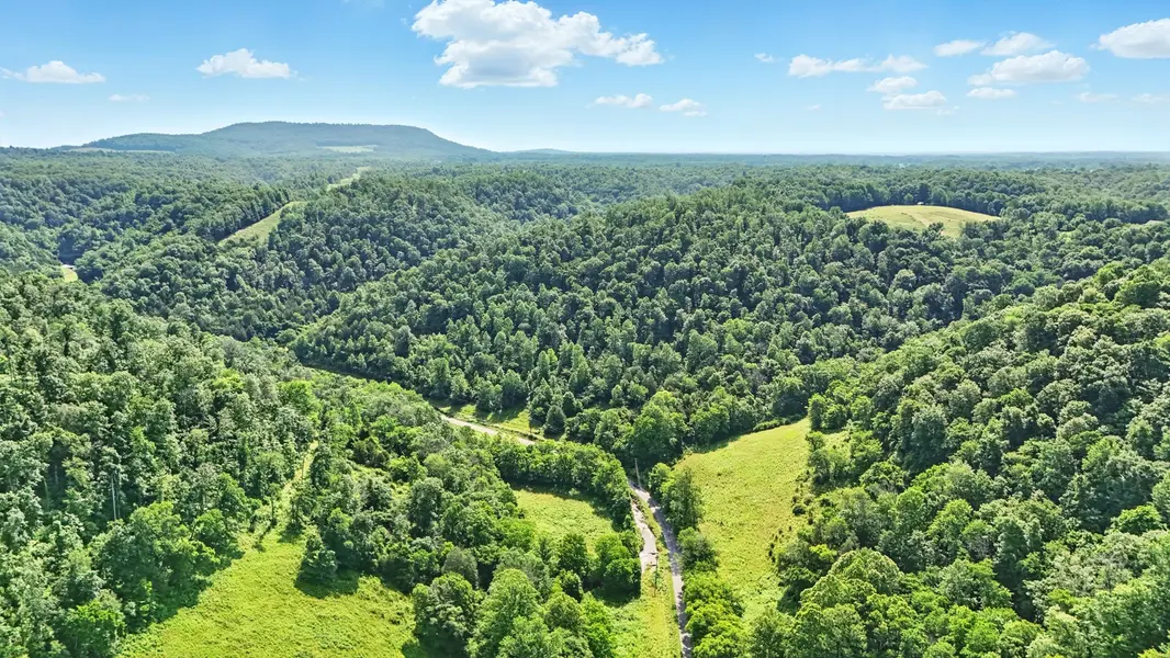 4006 Stones River Rd, Woodbury, TN 37190
