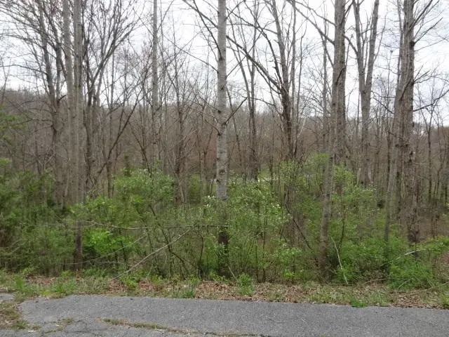 0 Eugene Court, Crossville, TN 38555
