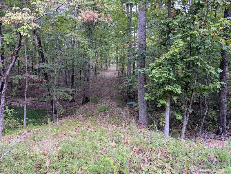 0 Deer Run Rd, Altamont, TN 37301
